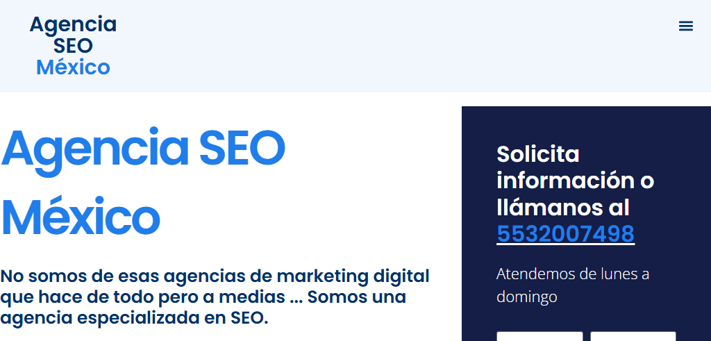 Sitio Web de la Agencia Agencia SEO México