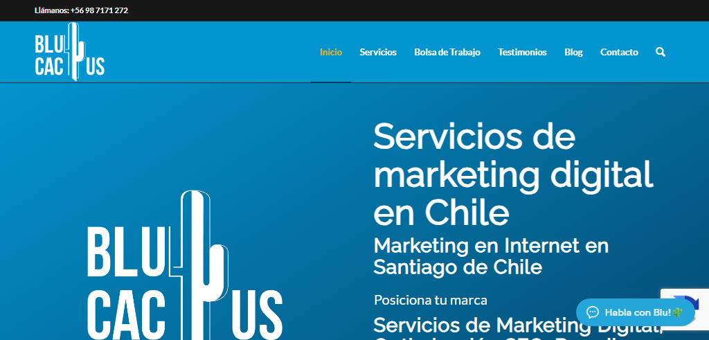 Sitio Web de la Agencia BluCactus