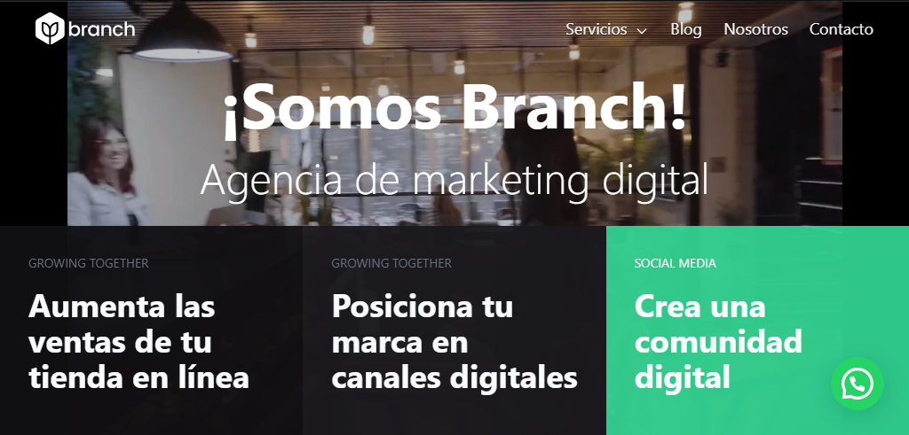 Sitio Web de la Agencia Branch