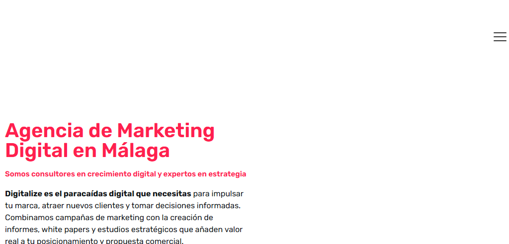 Sitio Web de la Agencia Digitalize Group