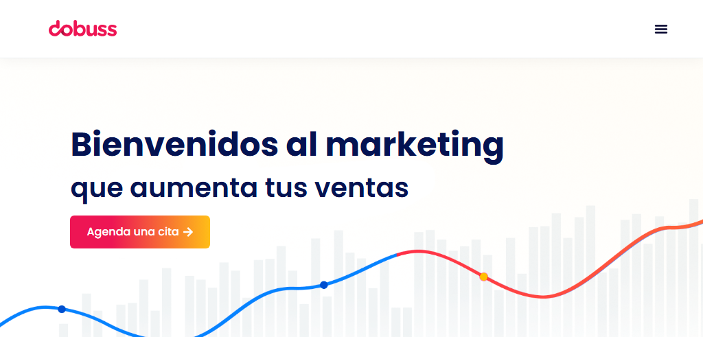 Sitio Web de la Agencia Dobuss