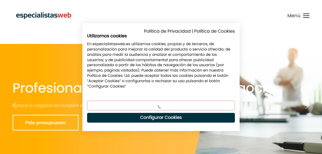 Sitio Web de la Agencia Especialistas Web