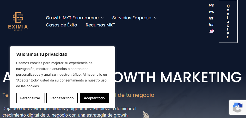 Sitio Web de la Agencia Eximia Studio