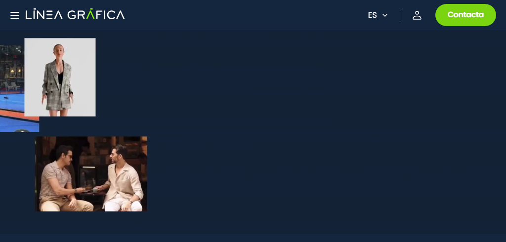 Sitio Web de la Agencia Línea Gráfica