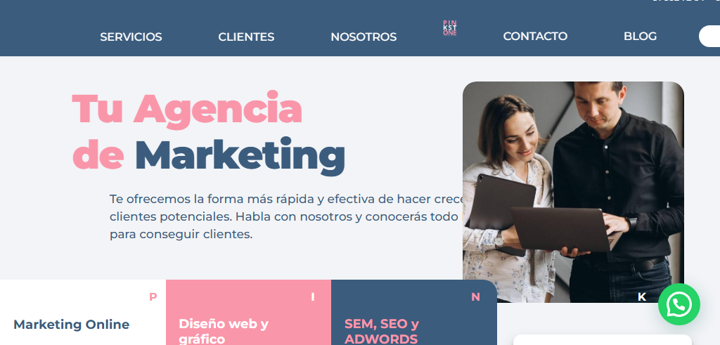 Sitio Web de la Agencia Pinkstone
