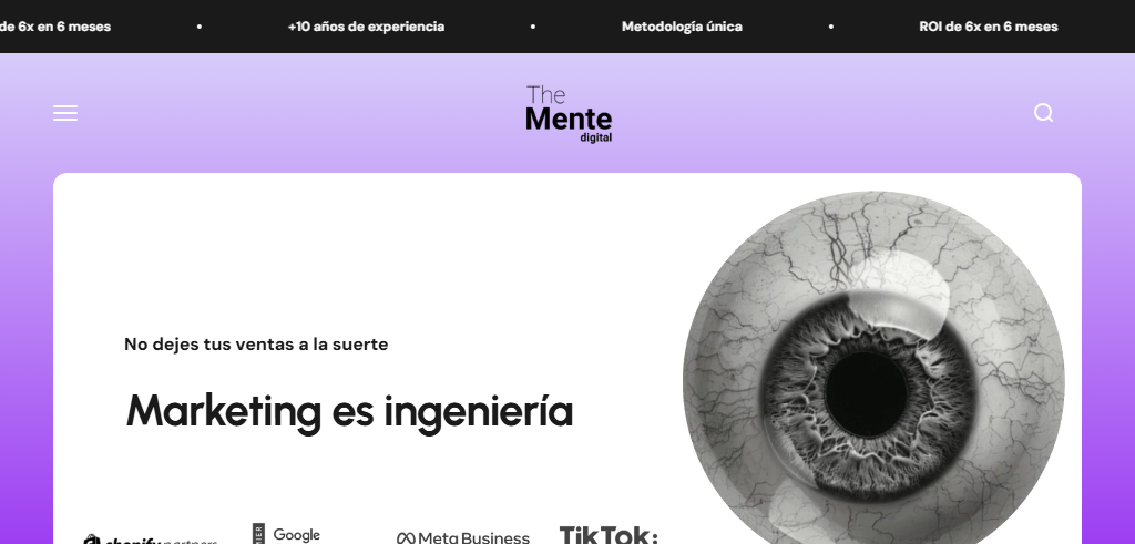 Sitio Web de la Agencia The Mente Digital