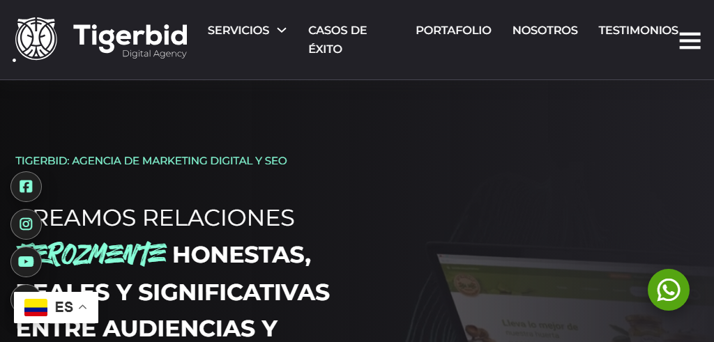 Sitio Web de la Agencia TigerBid