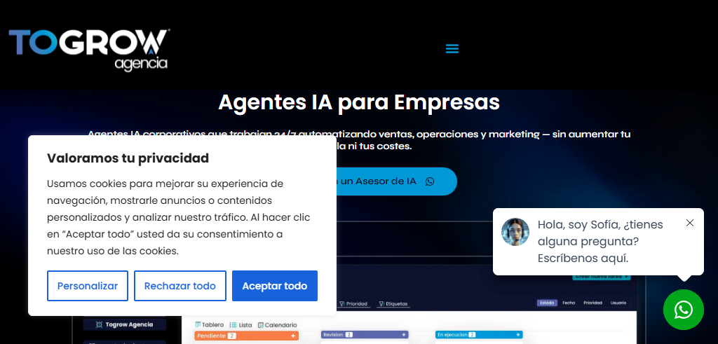 Sitio Web de la Agencia ToGrow Agencia