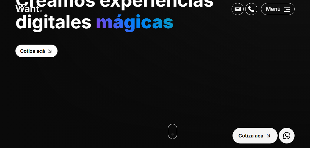 Website of the agency Want Digital