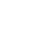 Tik Tok (Seguidores)