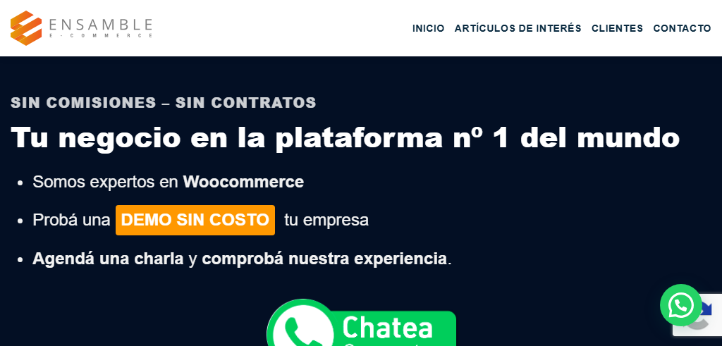 Sitio Web de la Agencia Ensamble