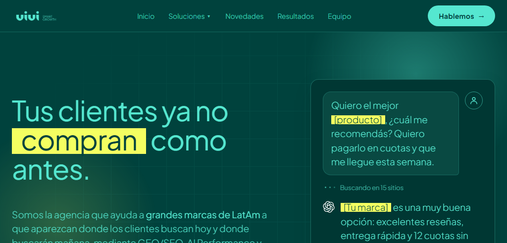 Sitio Web de la Agencia Viví Marketing