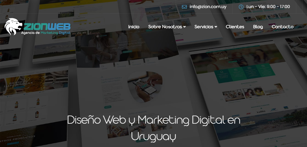 Sitio Web de la Agencia ZionWeb